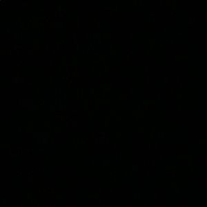 Meet your Posher, Ruthie